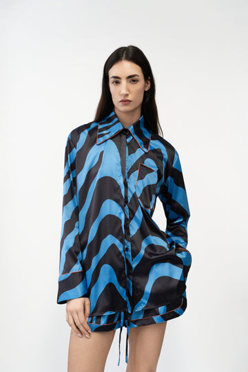 Electric Zebra