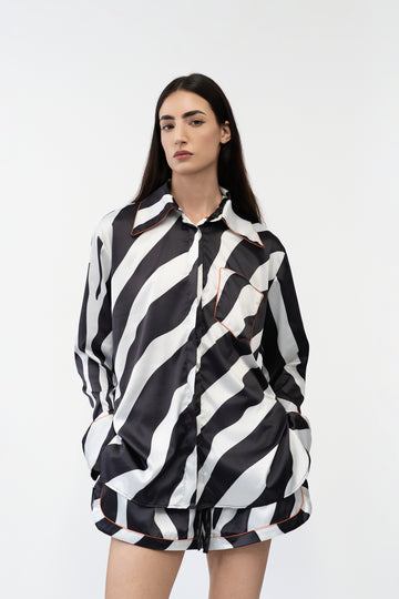 Classic Zebra
