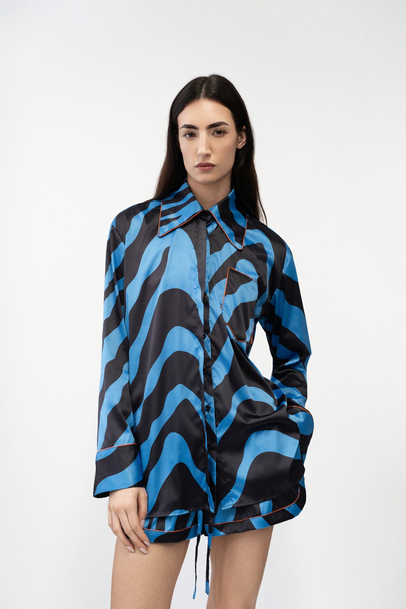 Electric Zebra