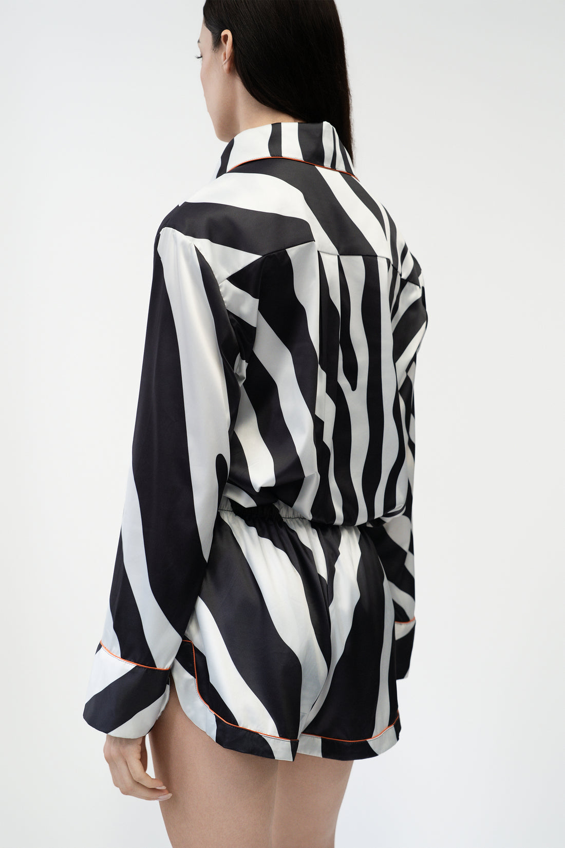 Classic Zebra