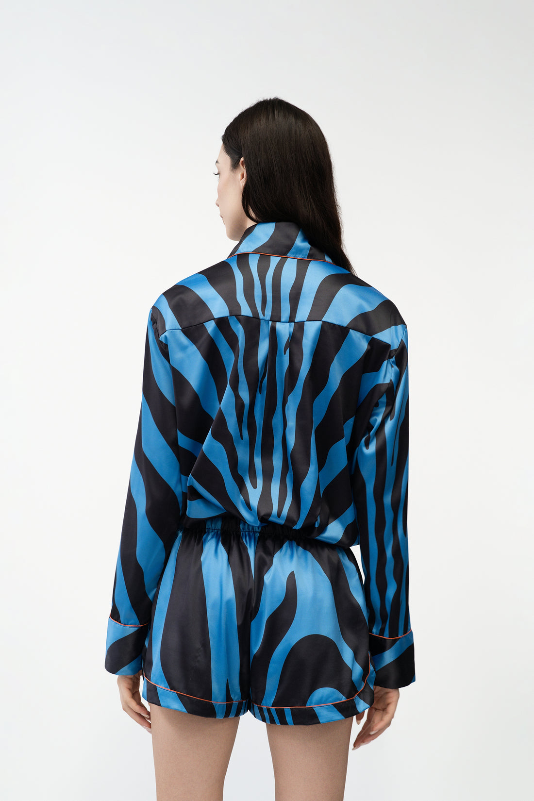 Electric Zebra