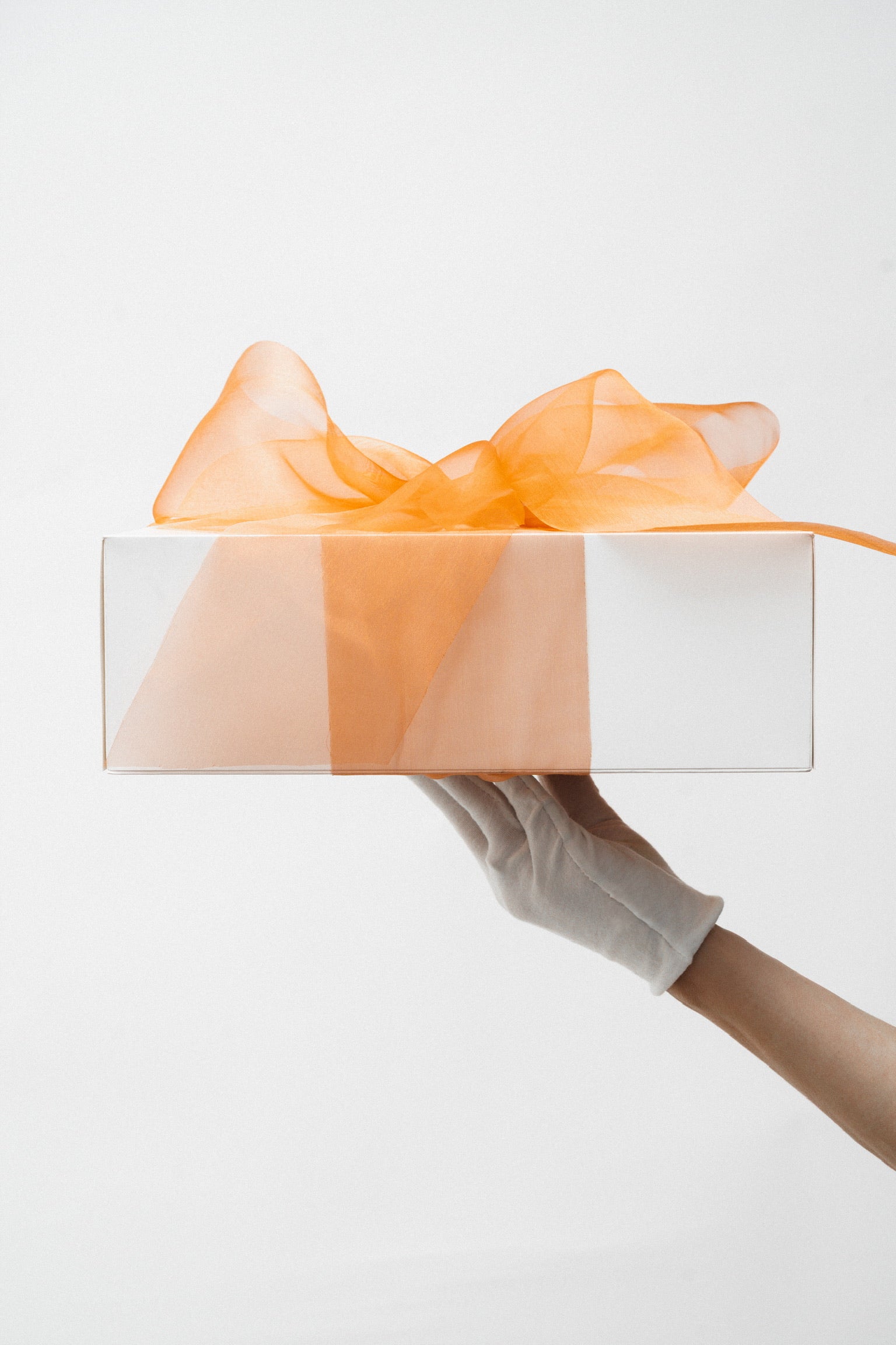 The Holiday Gift Set